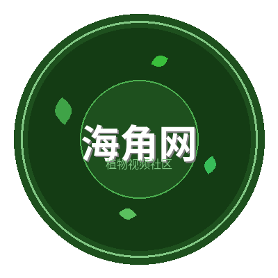 海角网